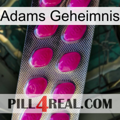 Adams Secret 09